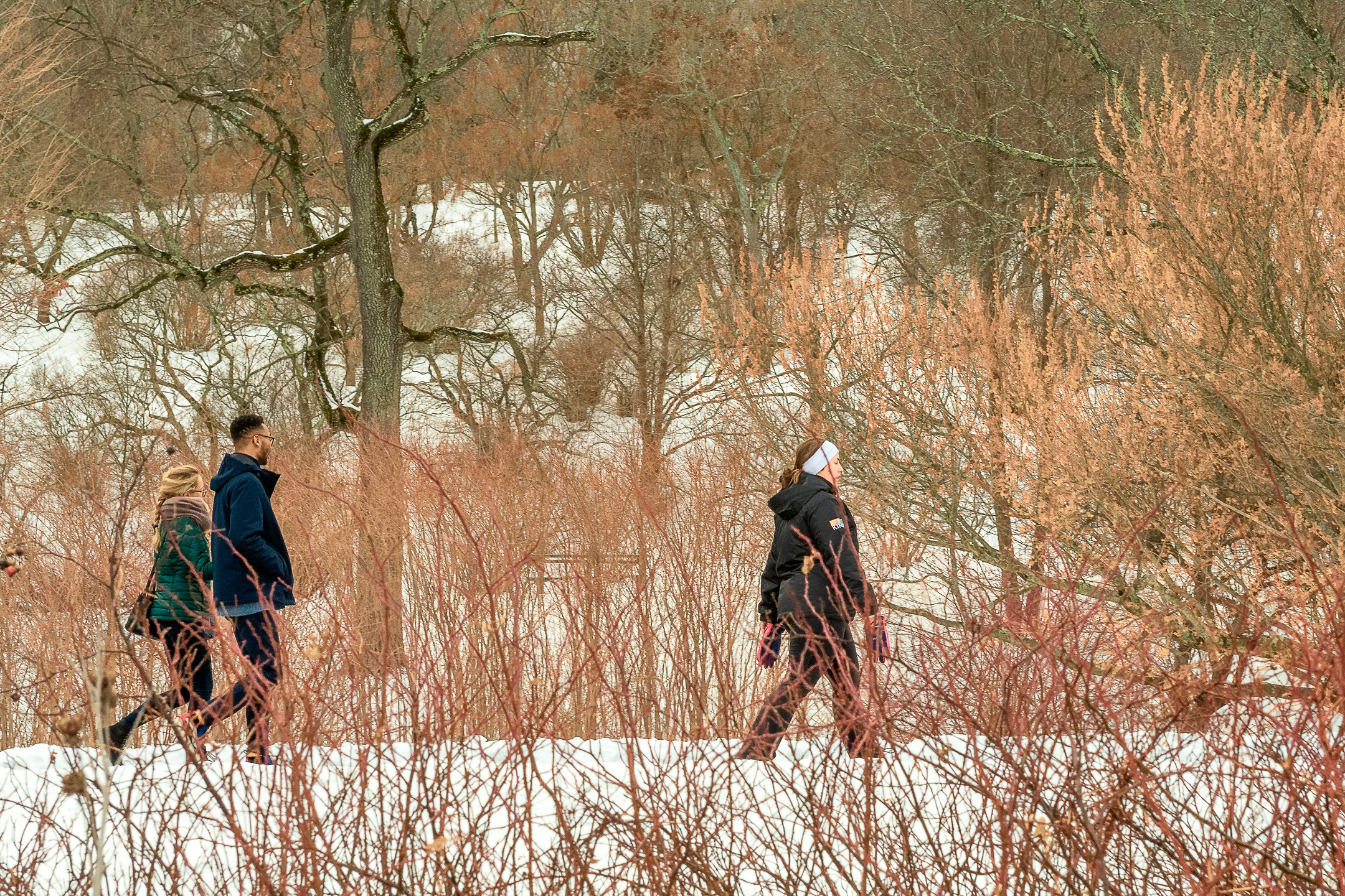 Three persons walking