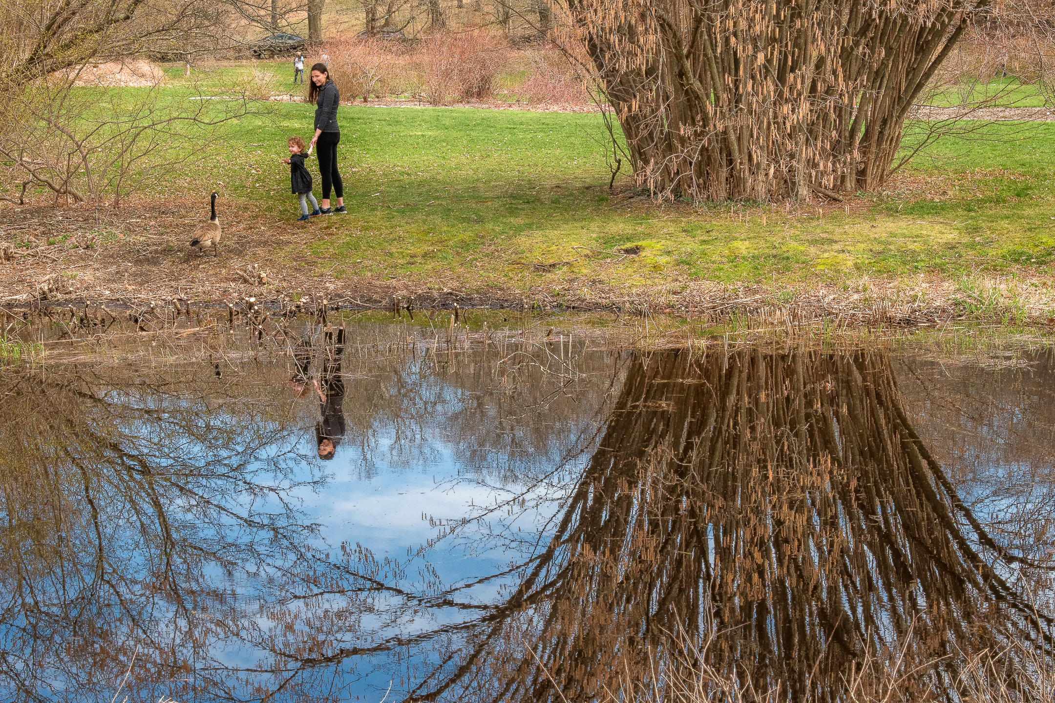 two persons looking at a goose