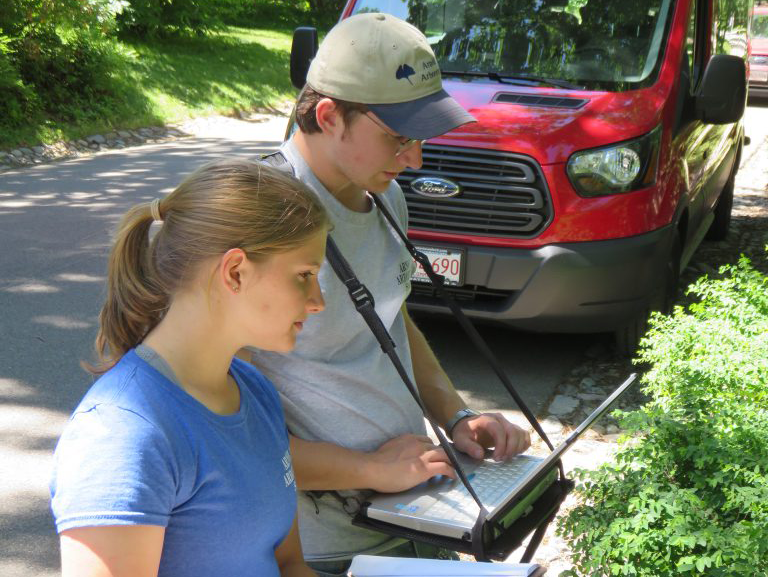 Hunnewell Interns - Arnold Arboretum