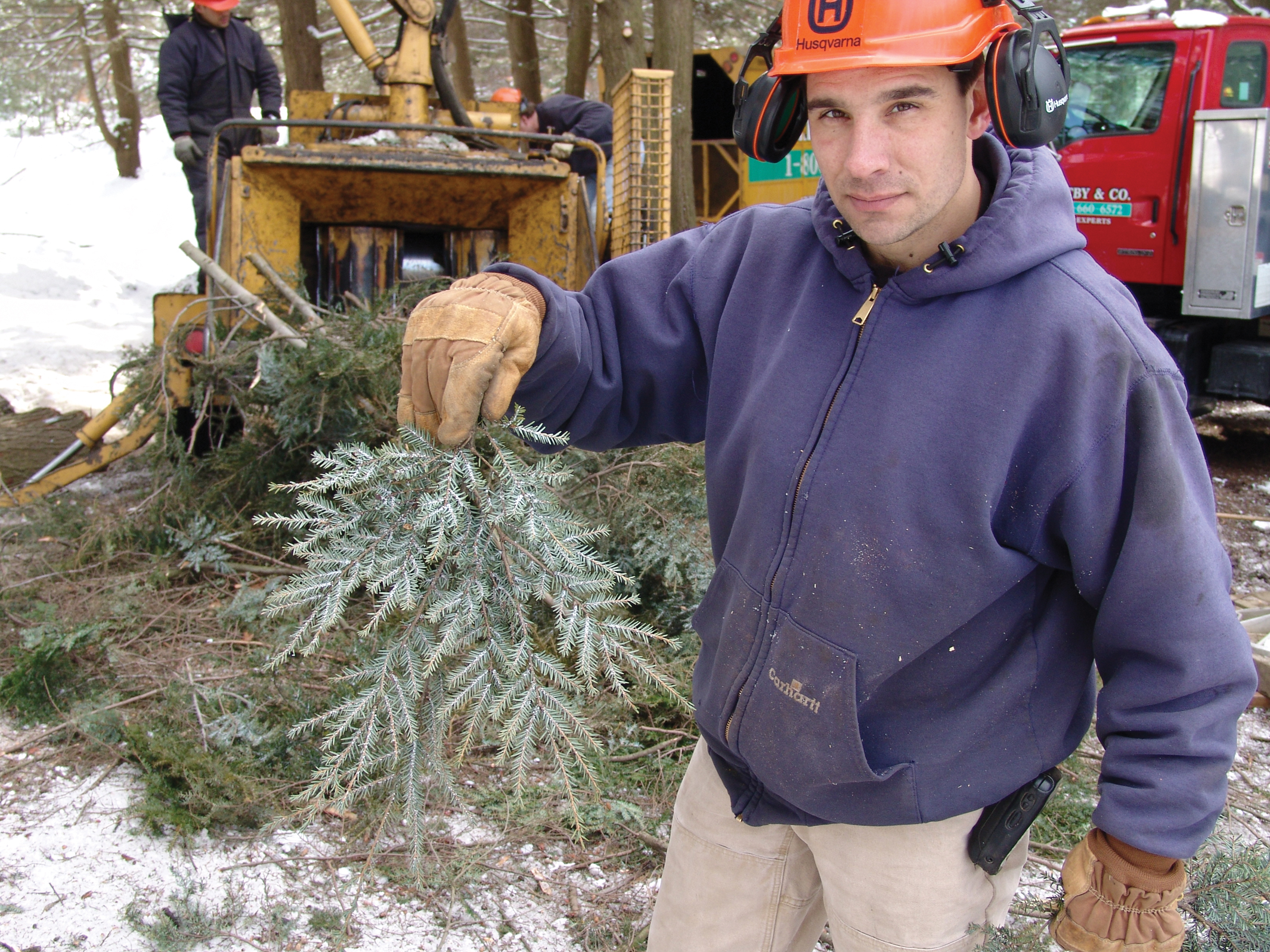 Photo of arborist holding hemlock branch with horticultural equipment in background