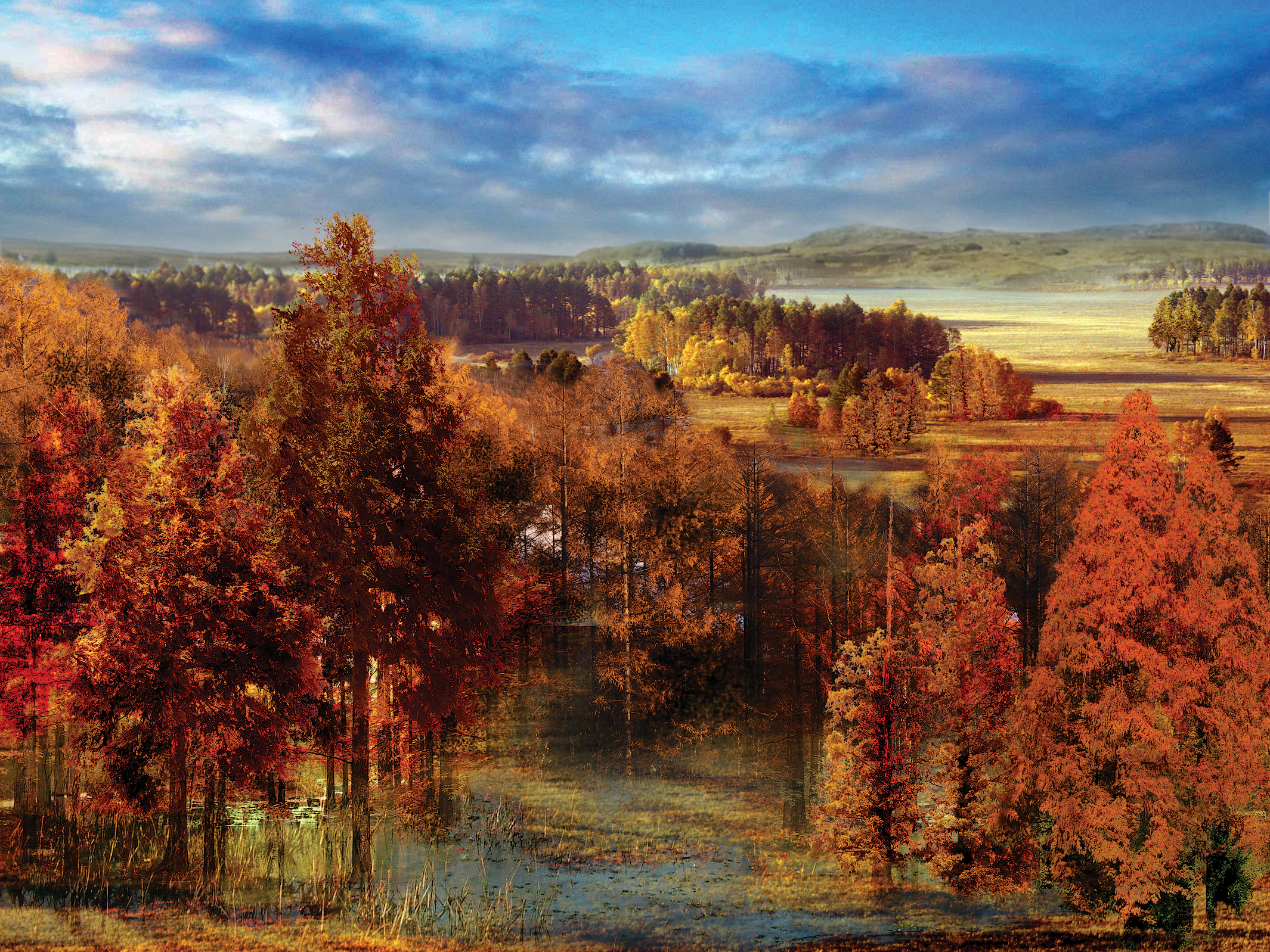 Graphic illustration of historic Metasequoia landscape