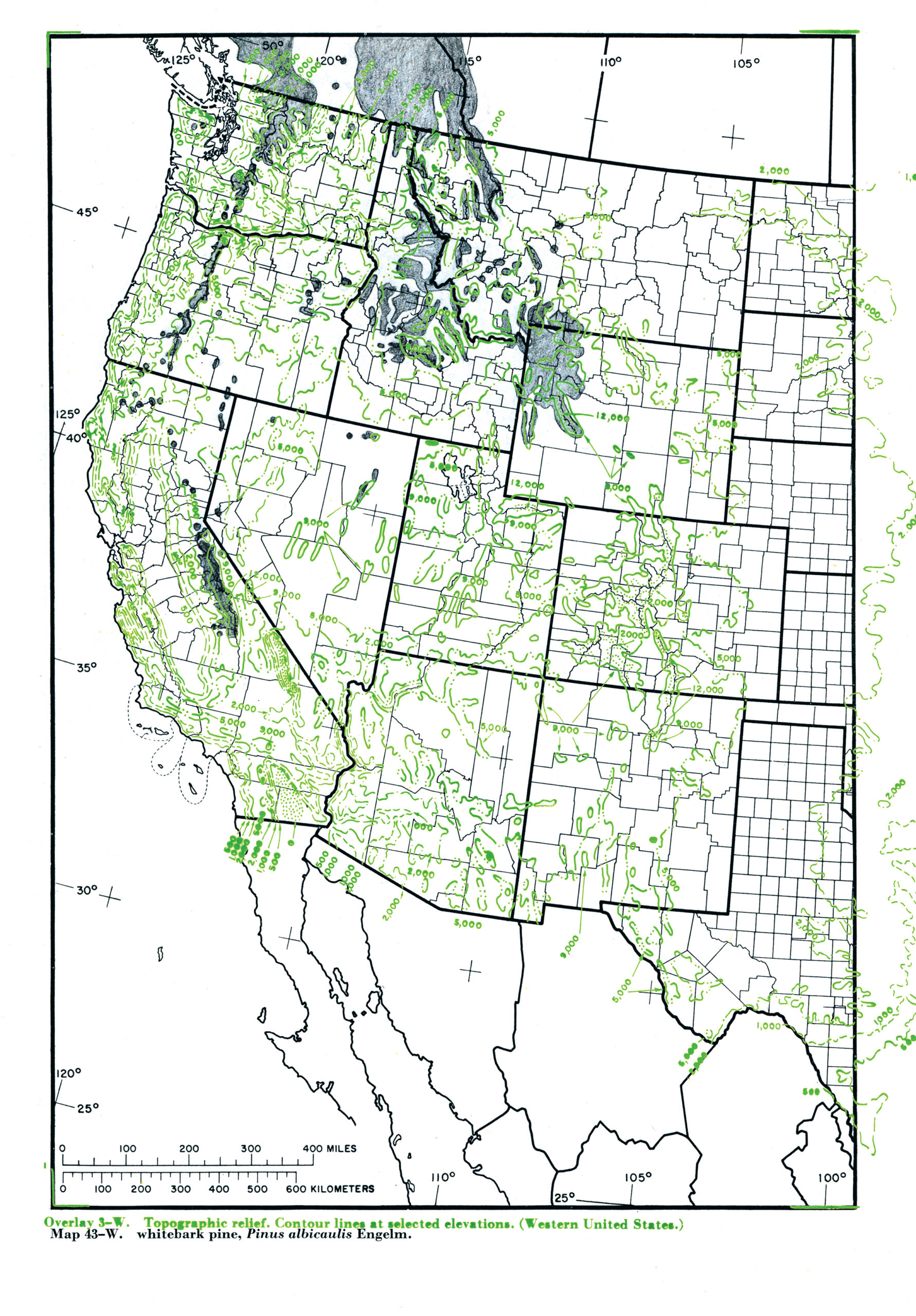 Map showing green topographical markings over distribution of pine in the western United States