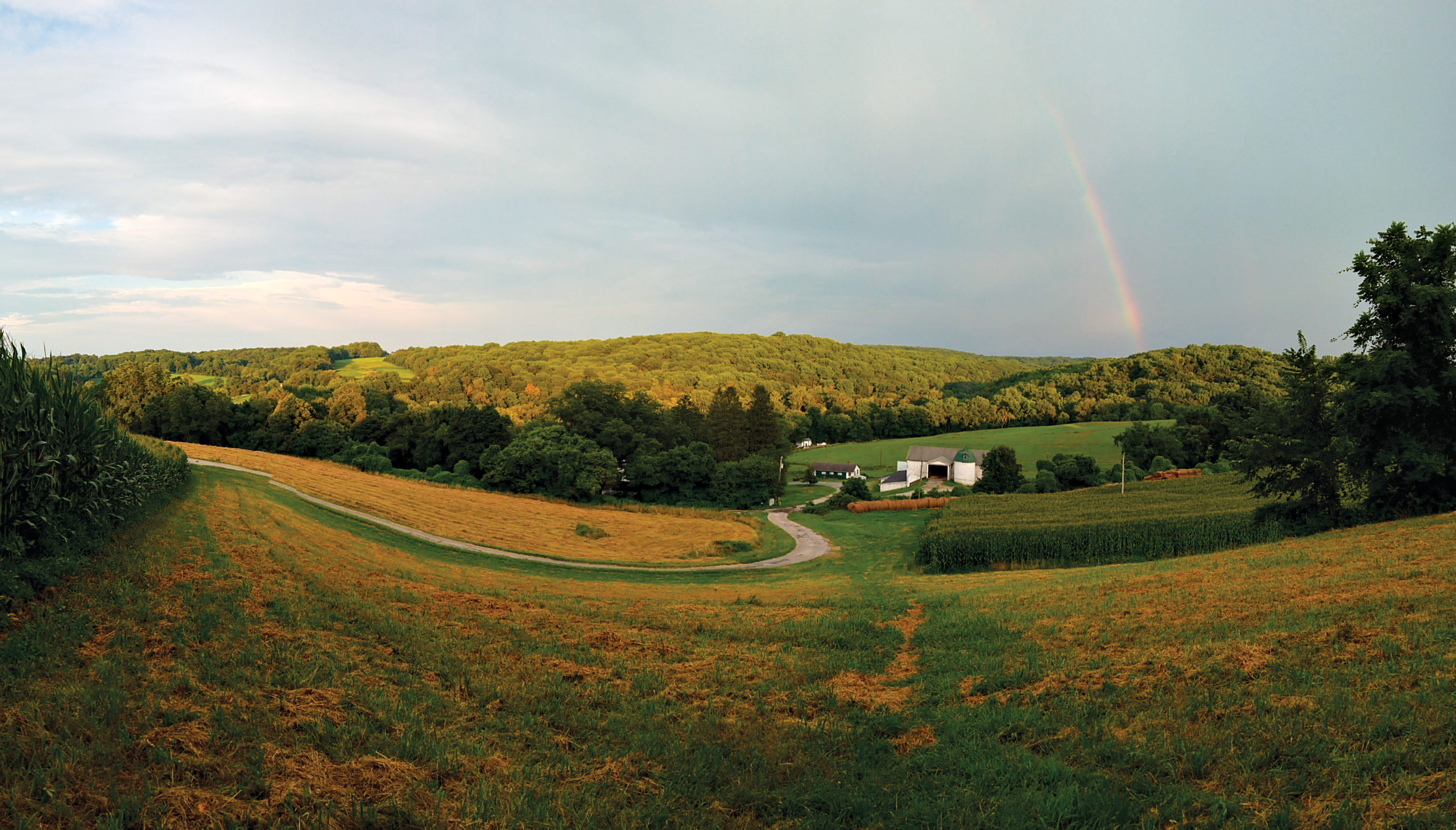 A view of the Granogue Estate, with the Brandywine Creek State Park in the background and the author’s cottage nestled into the tree line.