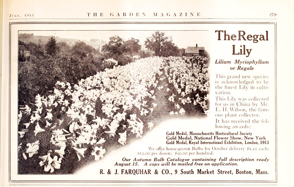 Advertisement from old magazine