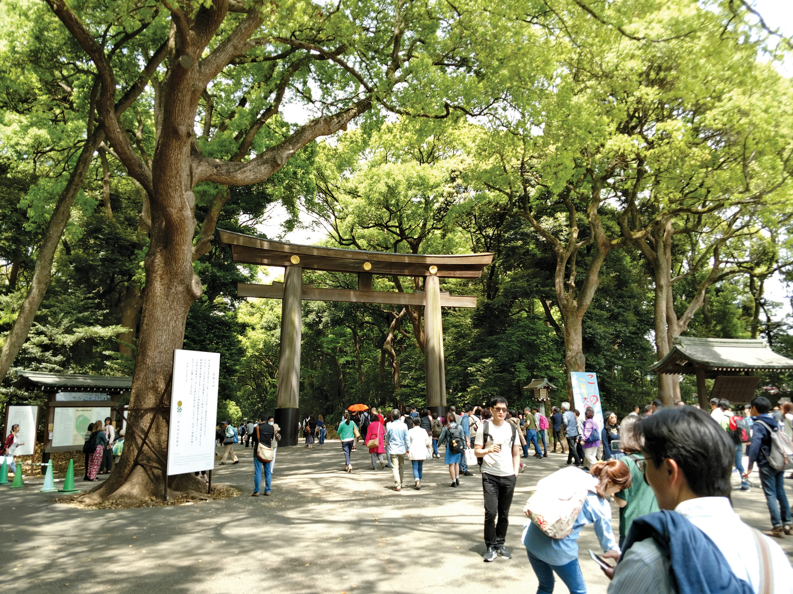 Photo of visitors streaming beneath large wooden gate