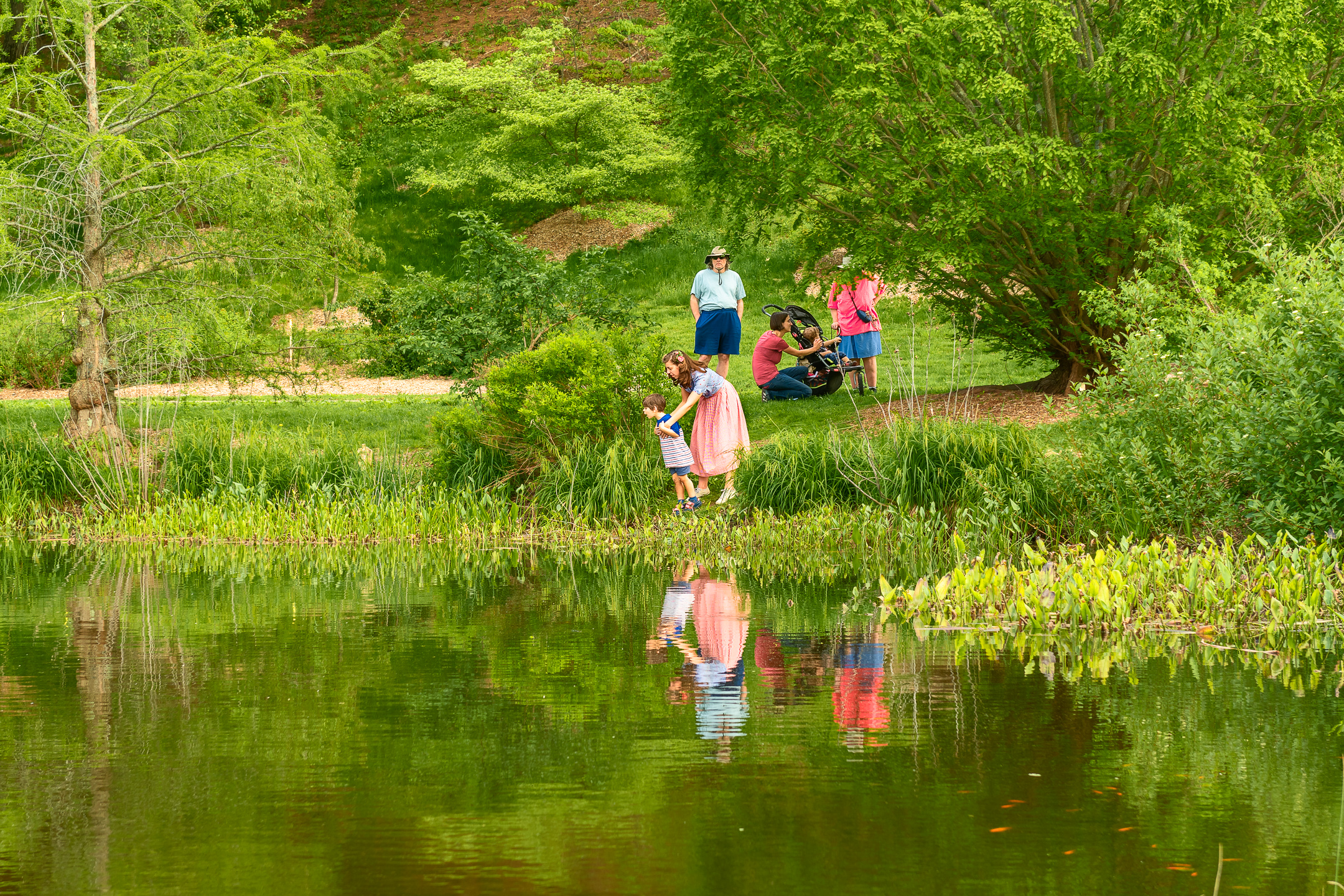 Group by a pond