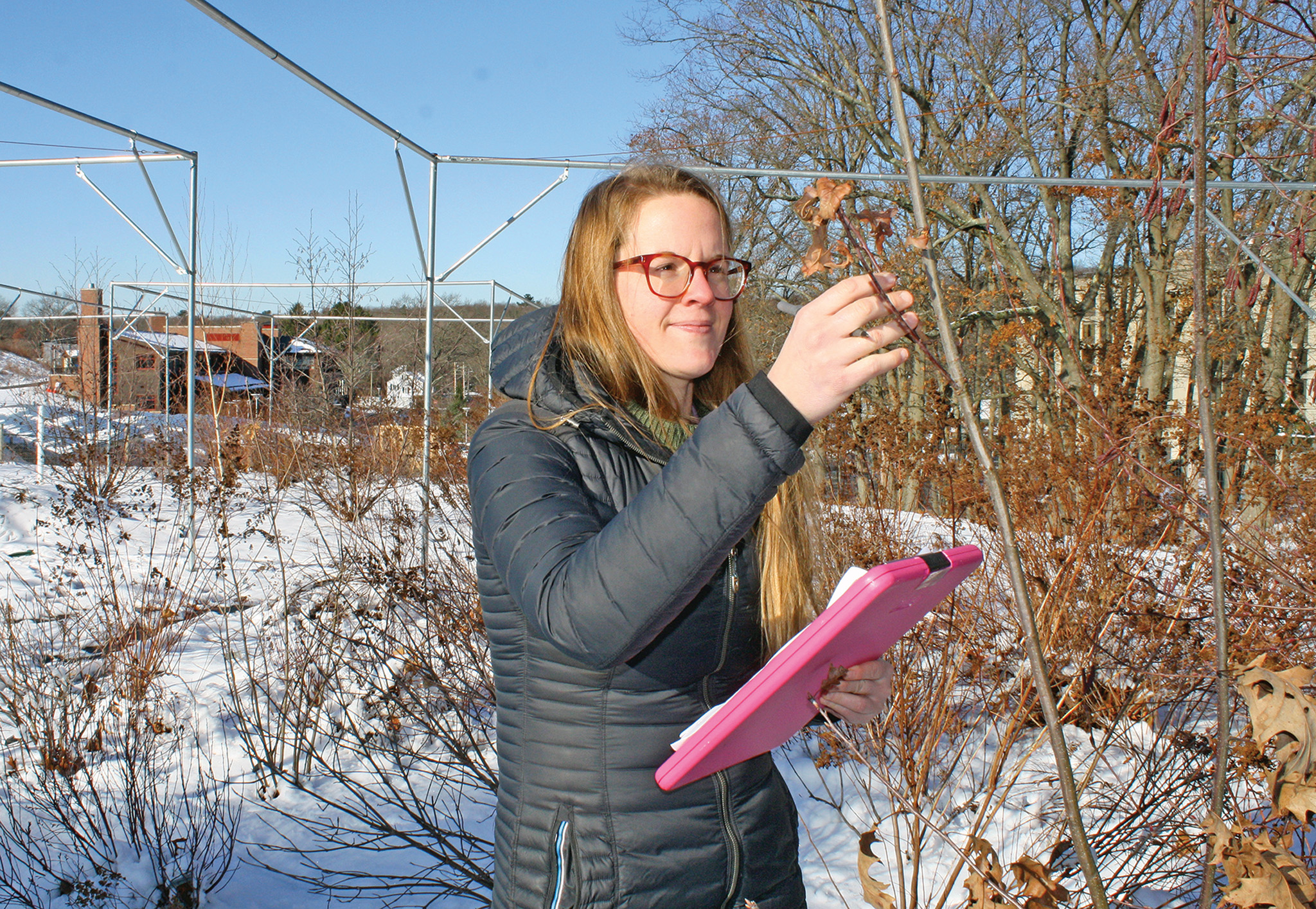 Cat Chamberlain at Weld Hill Research Building