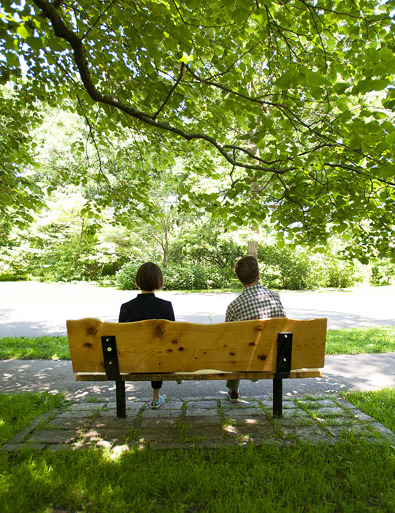 park bench tree