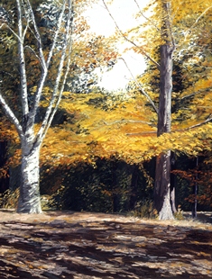 Two trees in autumn foliage