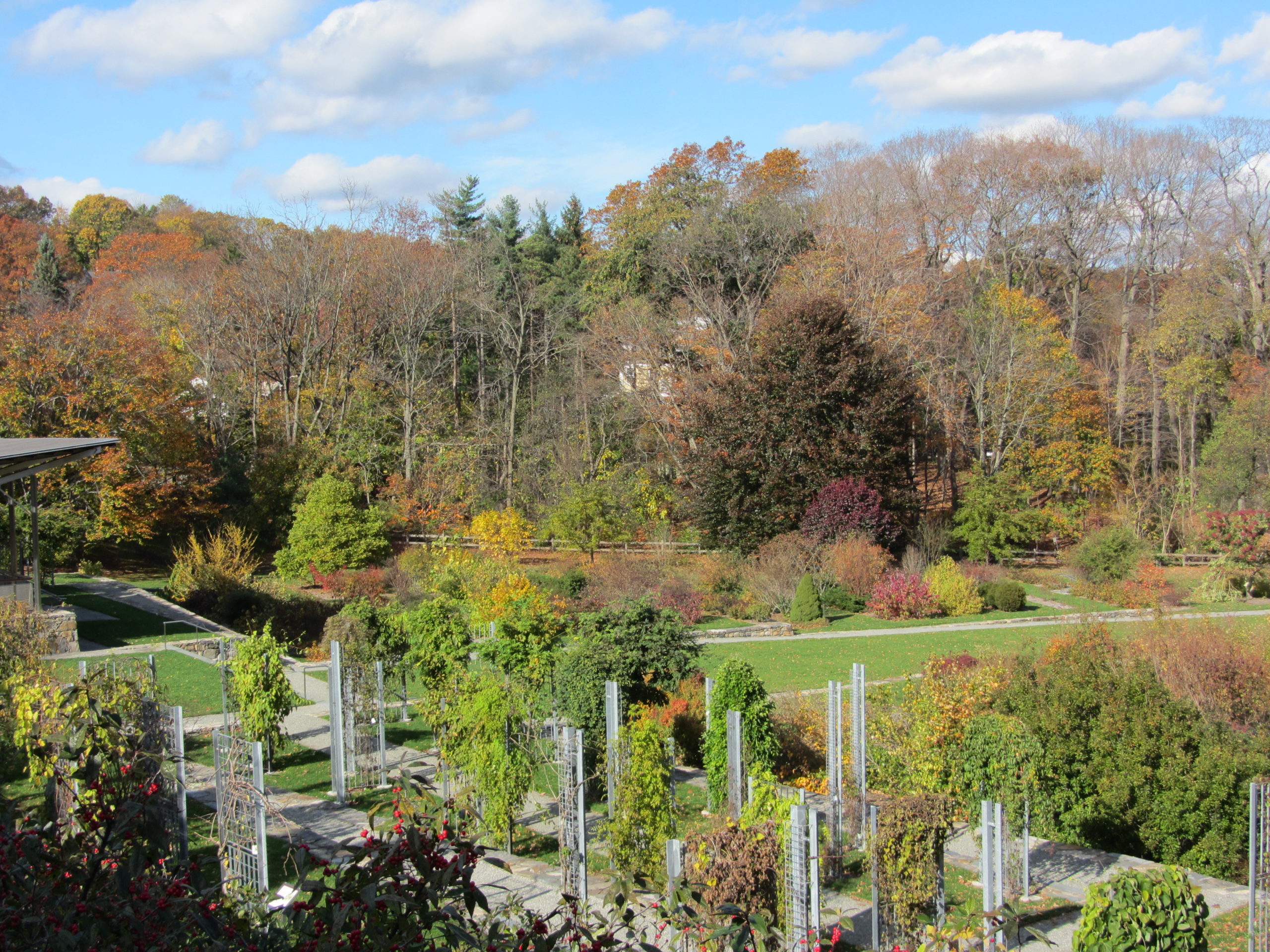 Leventritt Garden in autumn