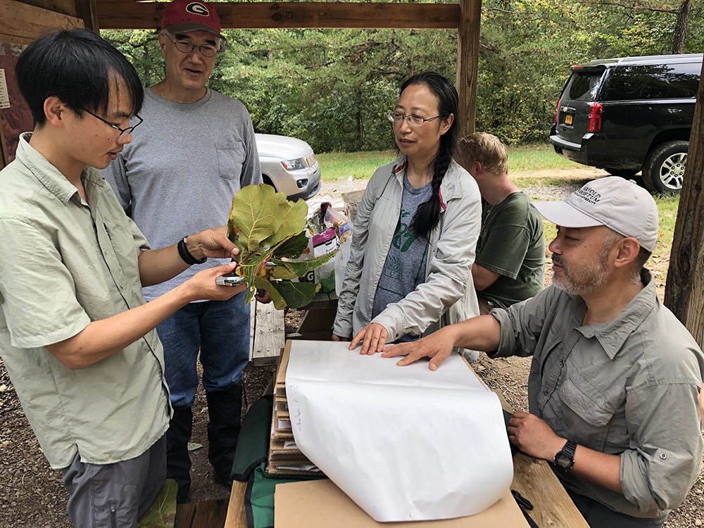 (Left to right) Tao Deng, Ned Friedman, Xinfen Gao, and Kang Wang make an herbarium voucher from a Quercus marilandica collected at Lula Lake Land Trust in northern Georgia. Photo by Sean Halloran.