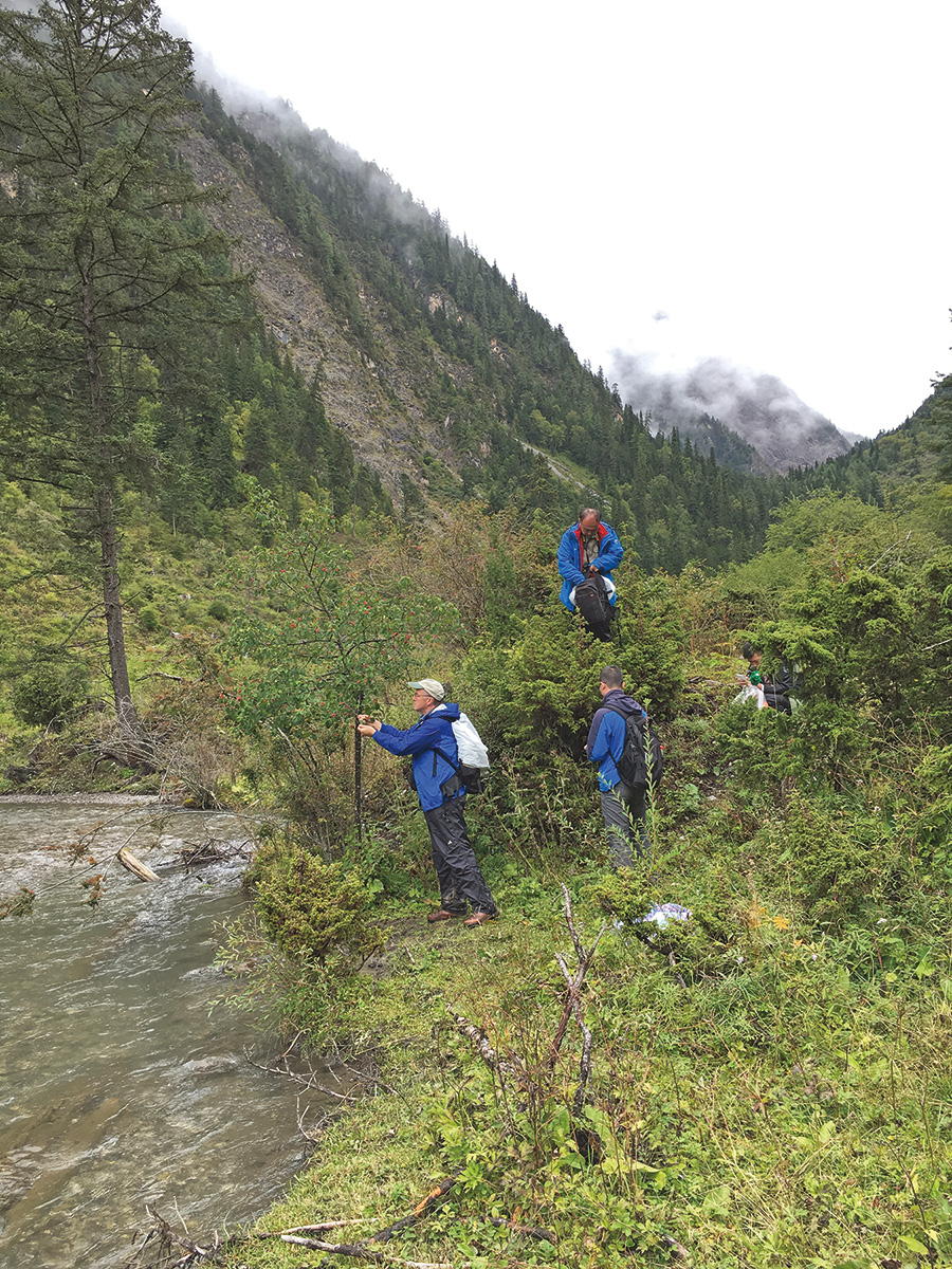 Plant collectors exploring in China