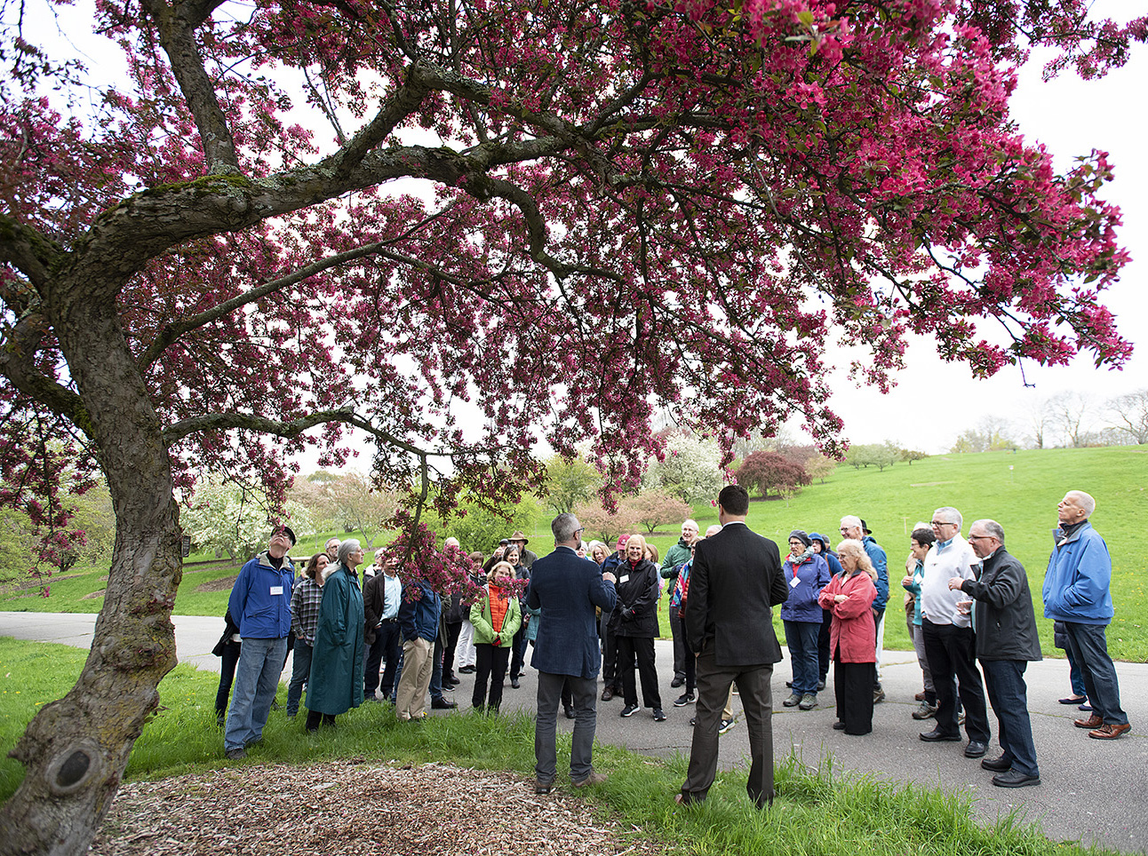 arboretum tours