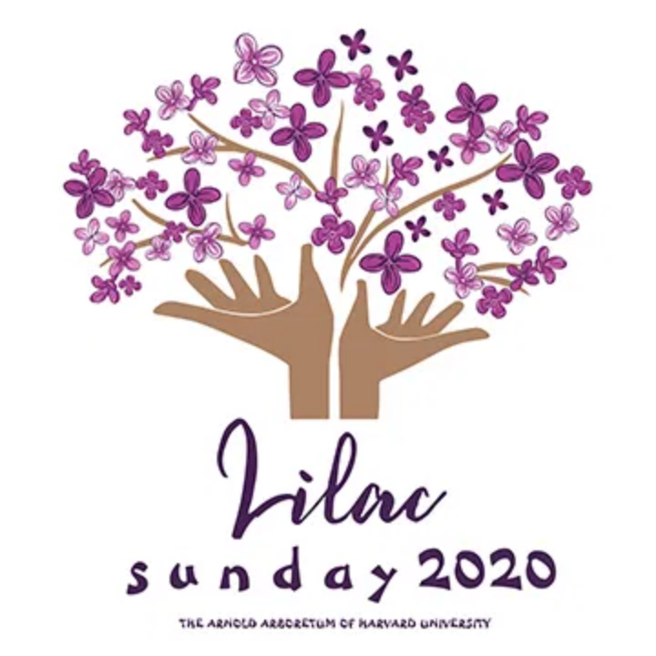 2020 Lilac Sunday logo by Alexander Levine.