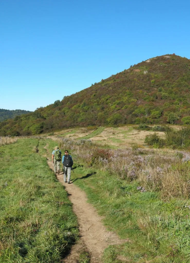 Plant explorers walking through an open valley.