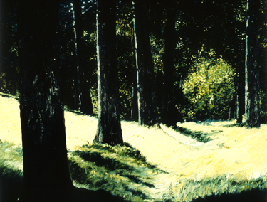 Trees along a path
