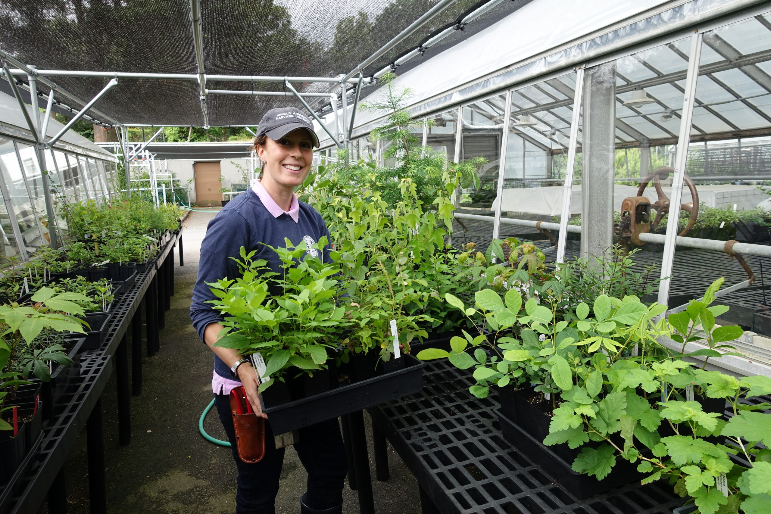 Tiffany Enzenbacher in the Dana Greenhouse