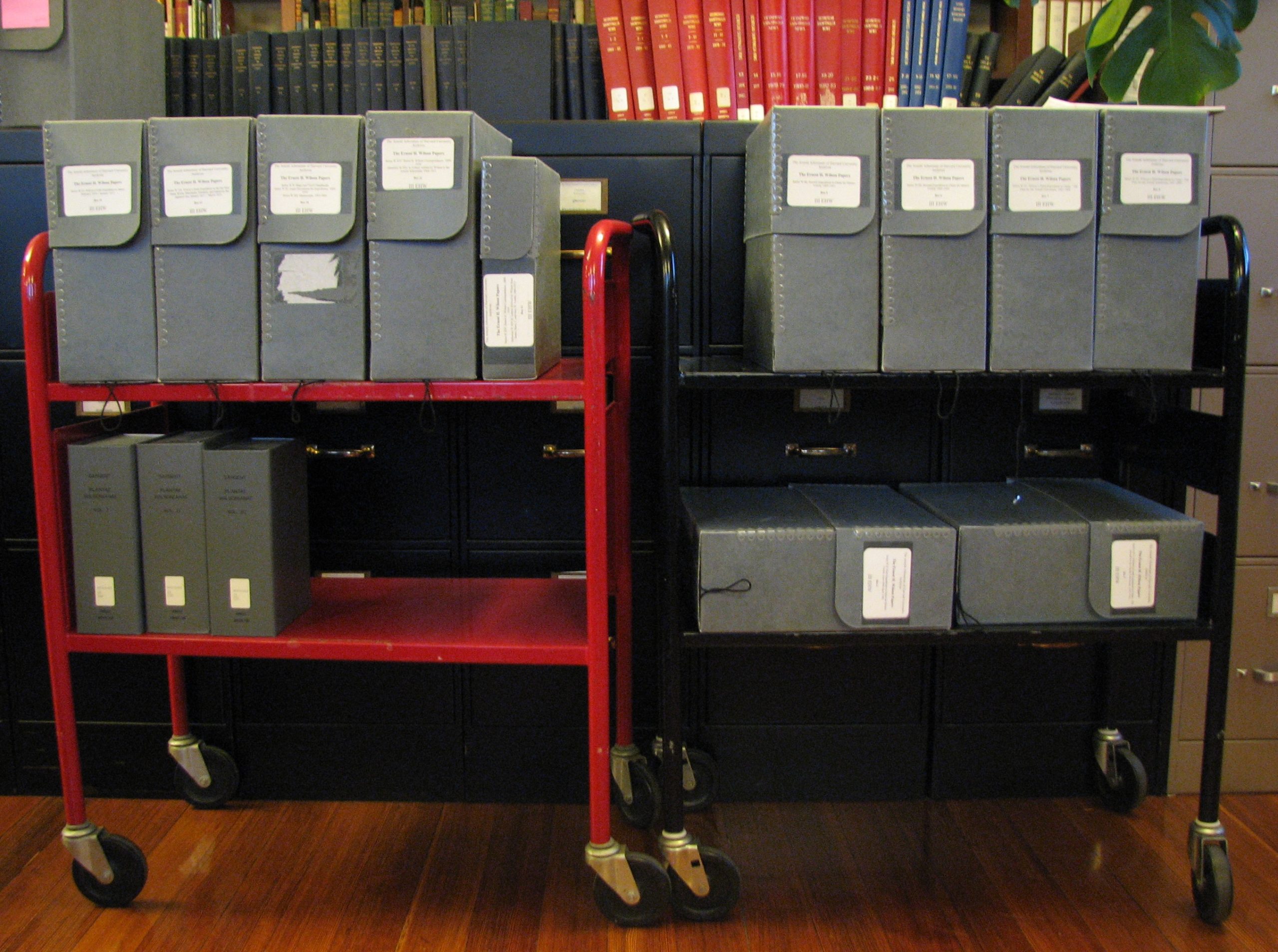 Library carts loaded with archival storage boxes.