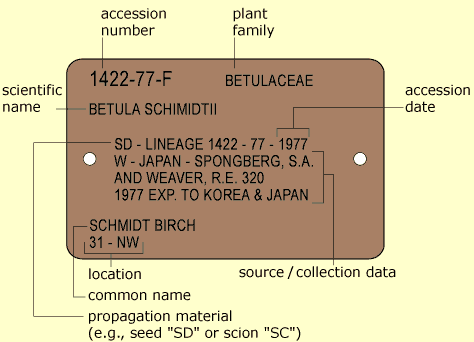 A typical plant label