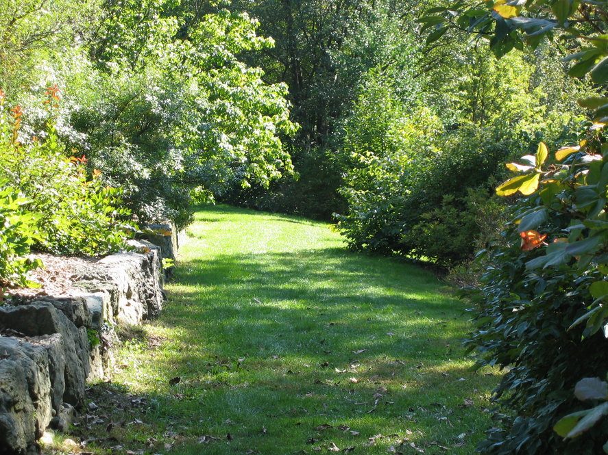 Chinese Path, Explorers Garden