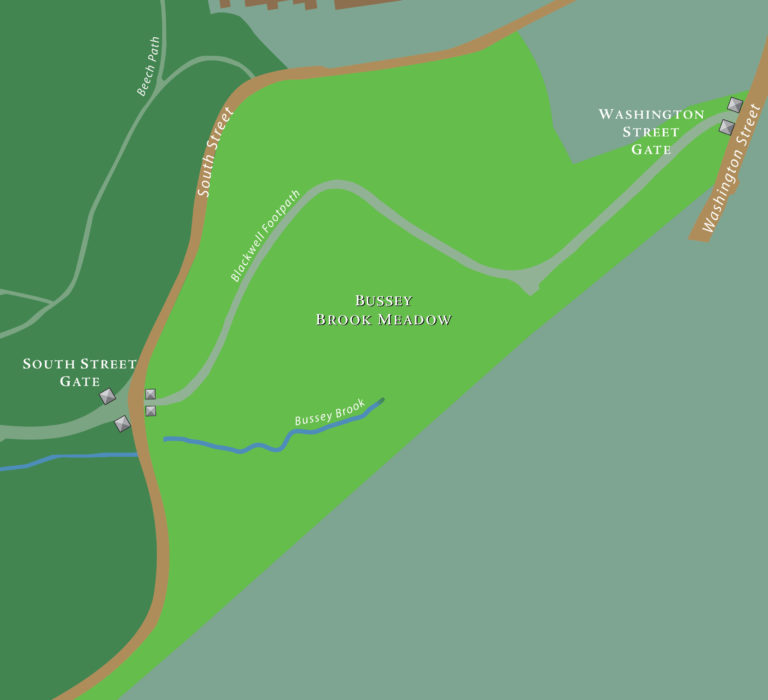 Bussey Brook Meadow Directions and Accessibility Information Arnold