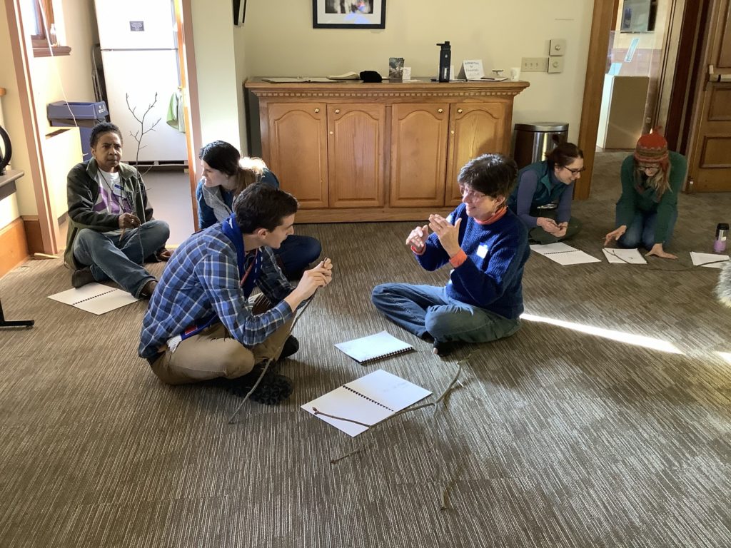 Pairs of teachers discuss their twig drawings and observations.