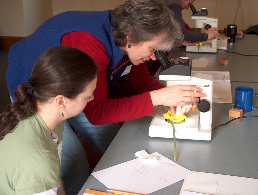 Field Study volunteer training. Photographs by Jon Hetman, Nancy Sableski, Kevin Schofield, and Julie Warsowe.