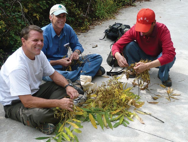 Photo of plant collectors sorting seed while sitting on the ground