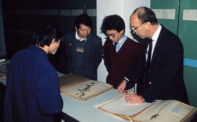 Photo of botanists working in herbarium