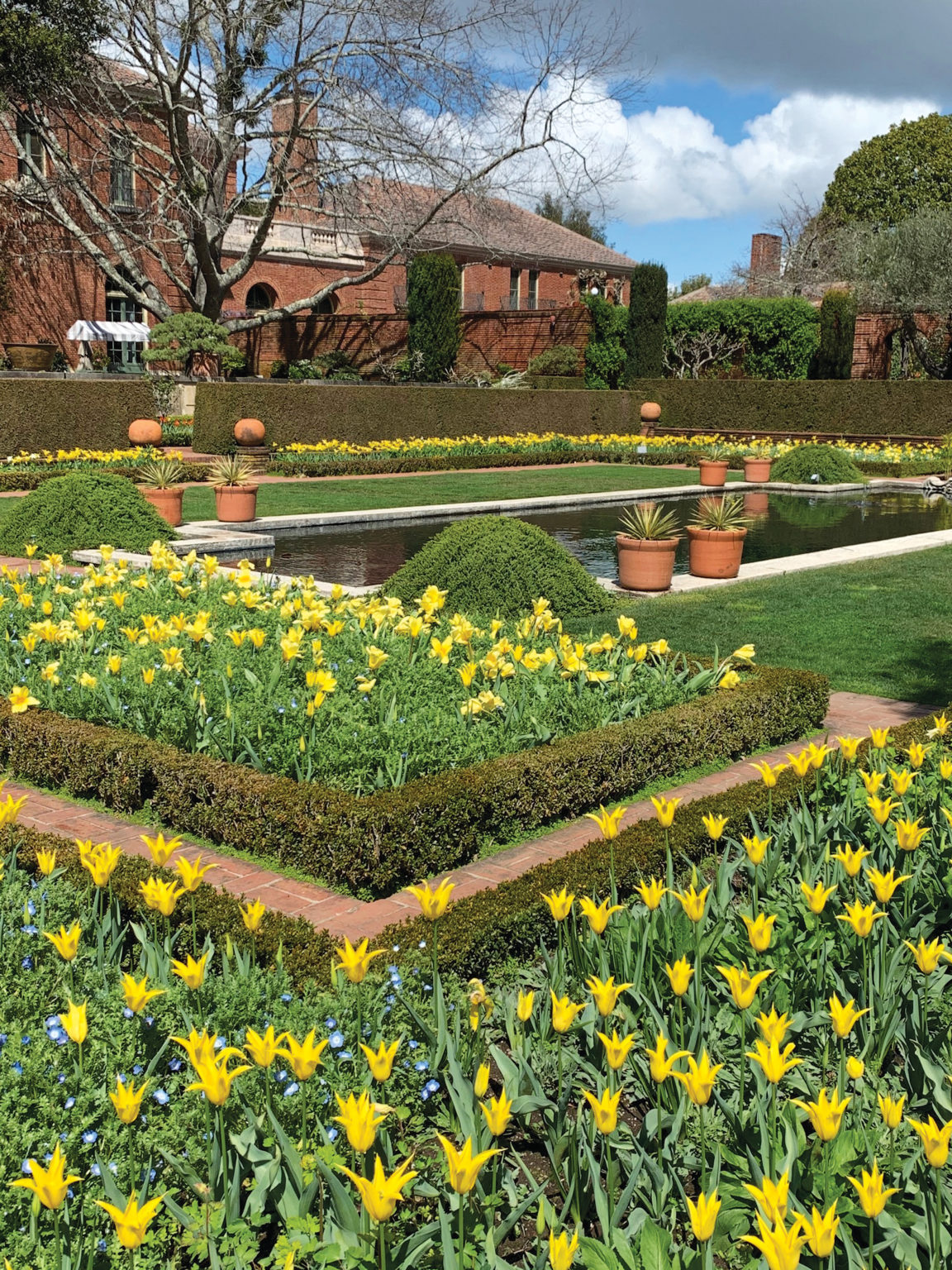 Essential Gardening Public Gardens in the Spring of COVID19 Arnold