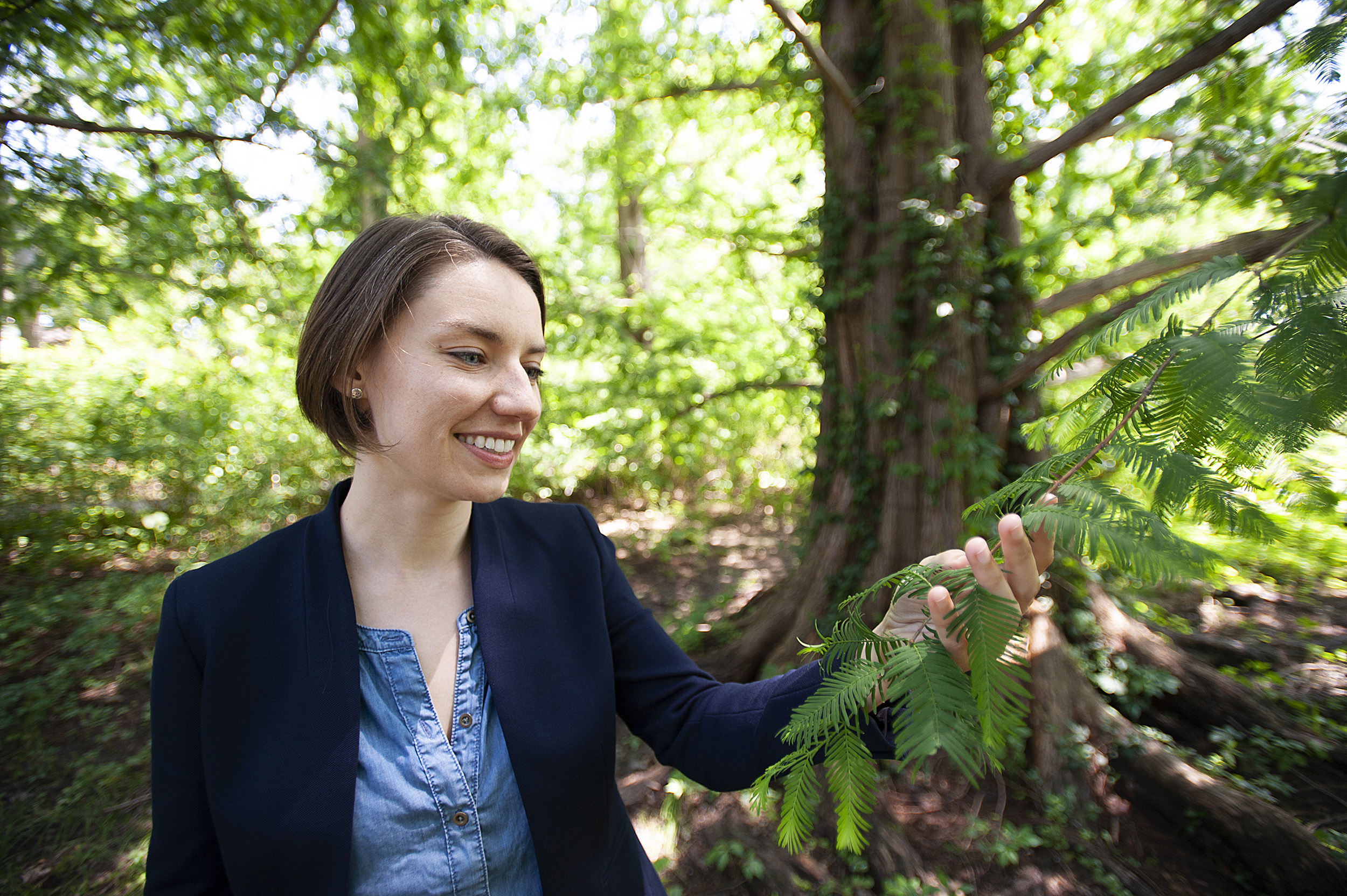 Expeditions app Amy Heuer and Metasequoia