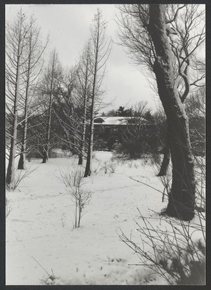 Snow Scenes, spring, North Meadow, 1984