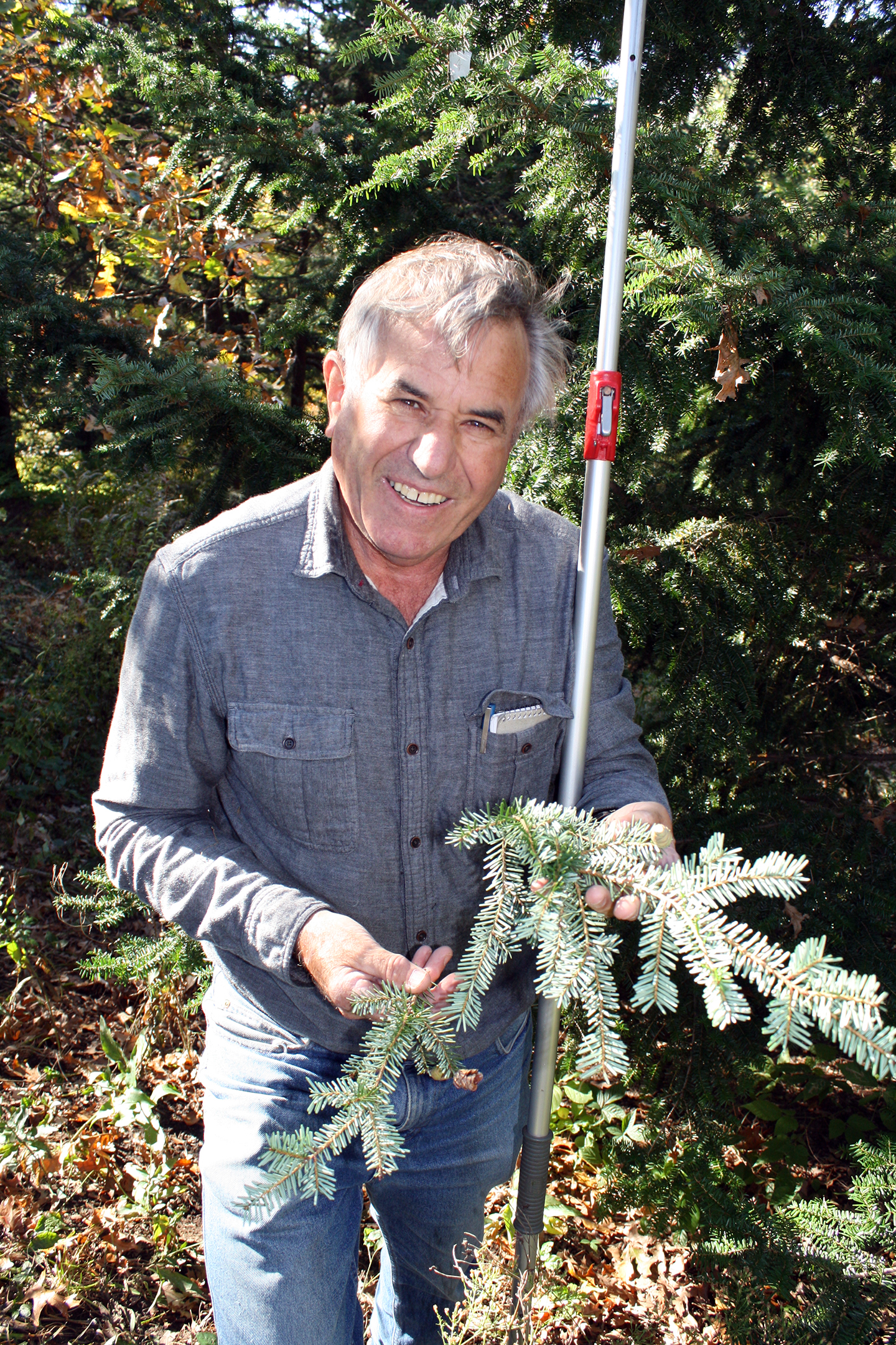 Man holds a branch of hemlock