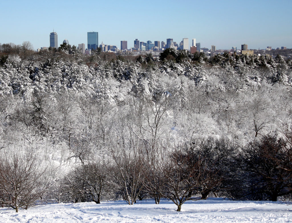 Peters Hill Boston View Hetman