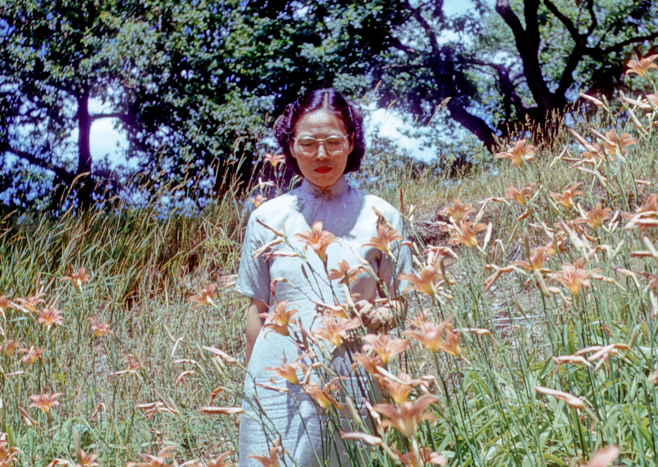 Shiu-ying Hu