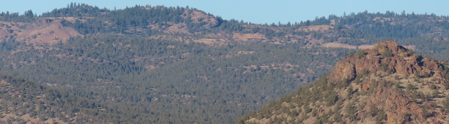 The dry slopes of the Ochoco National Forest near Prineville, Oregon.