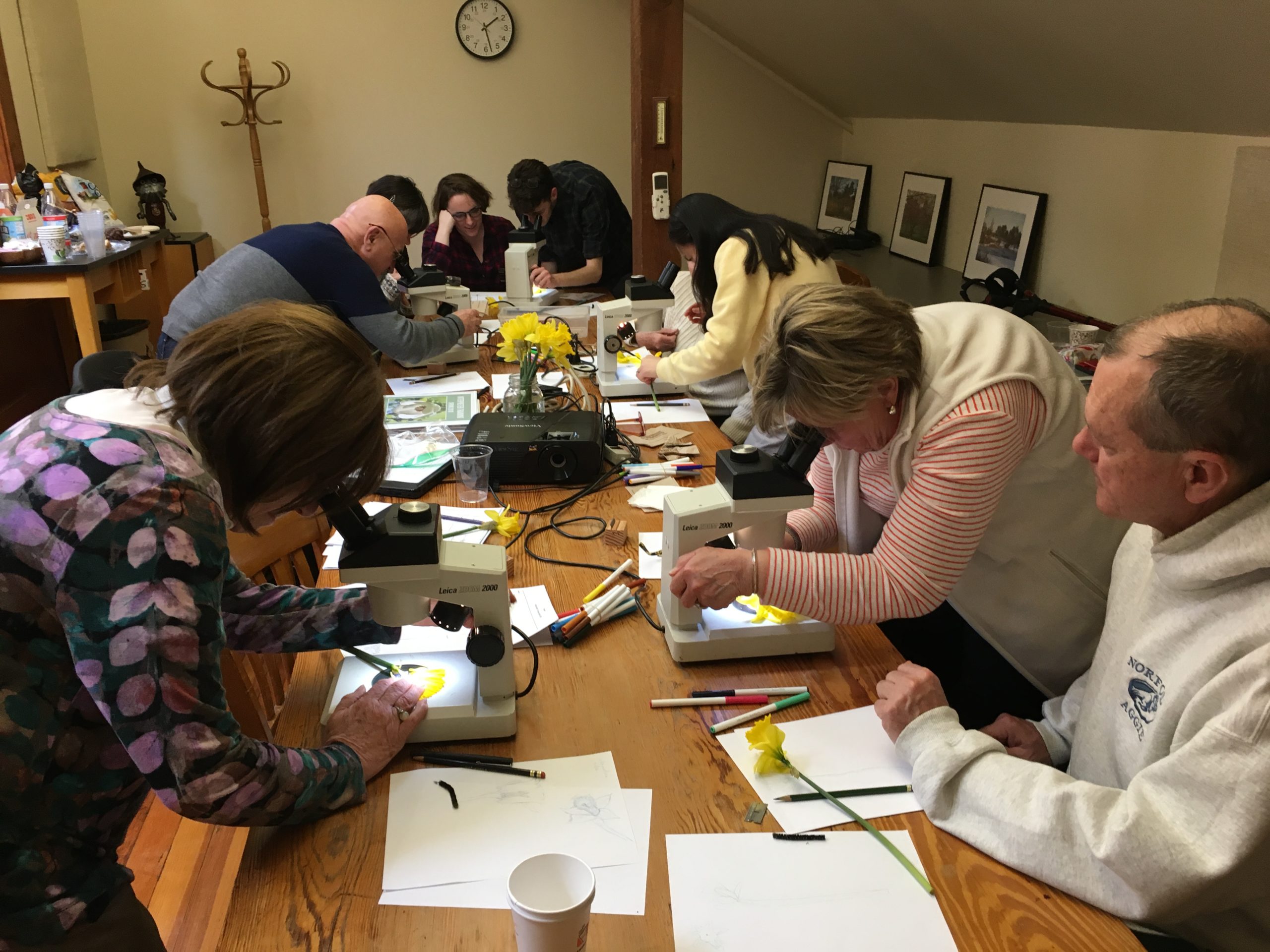 Interpreters completing a flower dissection as part of their training.