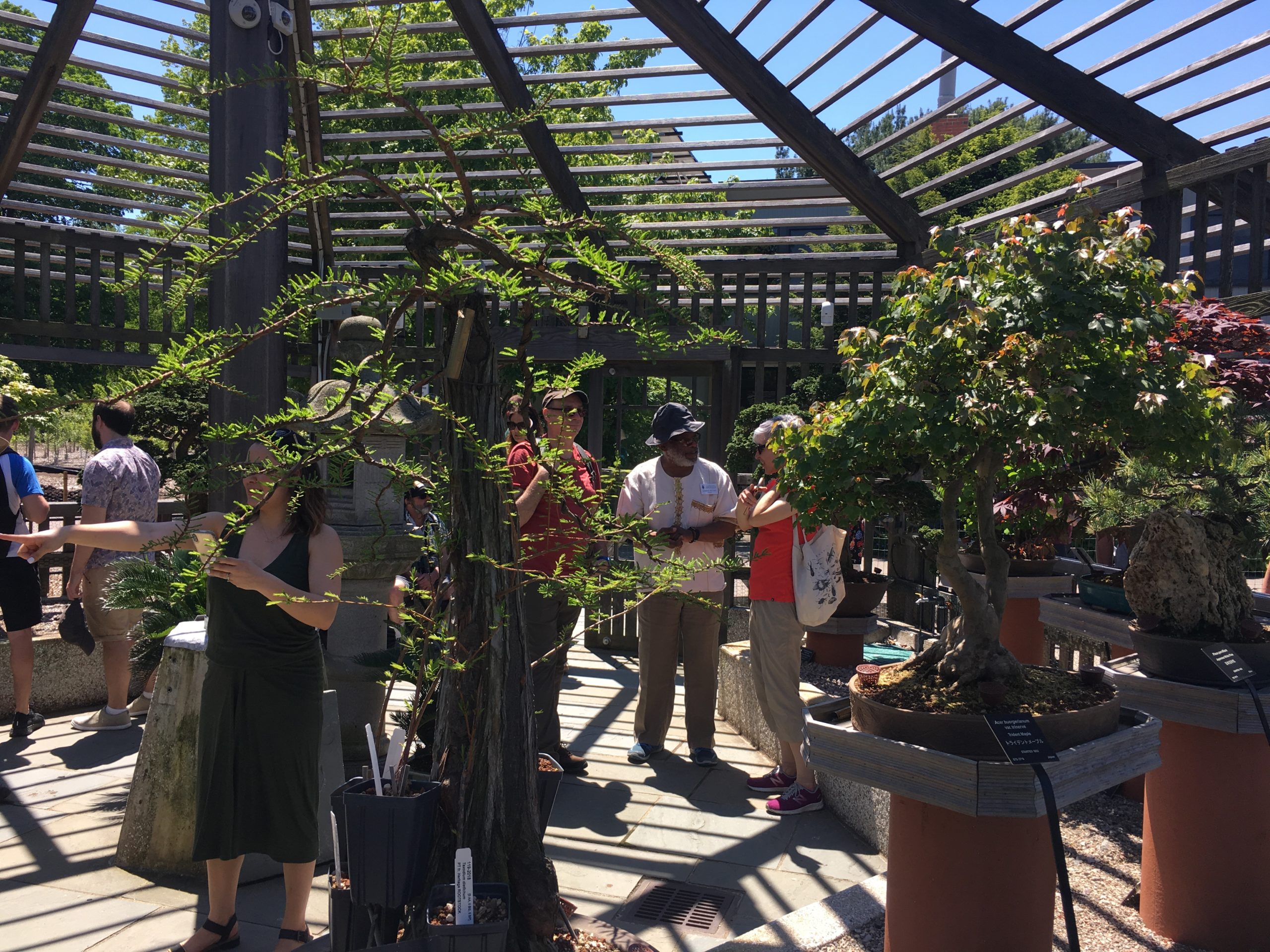 Volunteer chatting with a visitor in the bonsai and penjing pavilion.