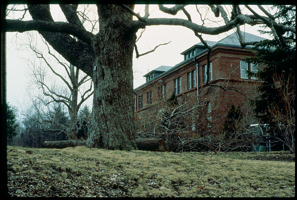 Hunnewell Building, spring, magnolia, 1986