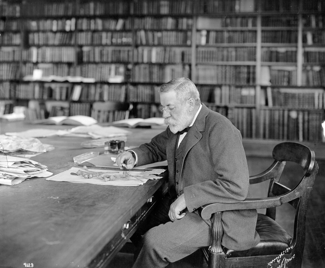 Man sits at library table examining dried plants