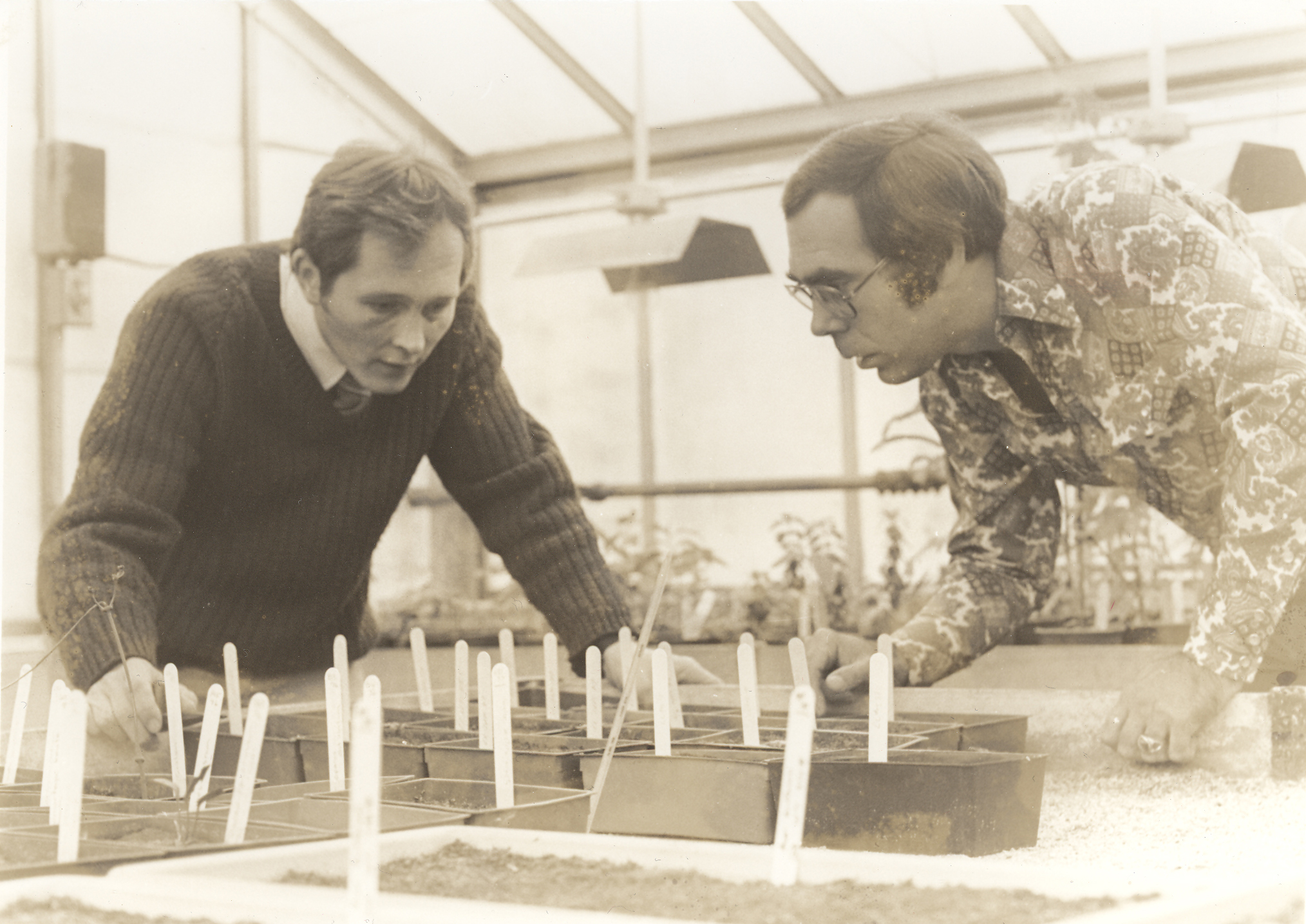 Stephen Spongberg and Richard Weaver, Dana Greenhouses, Arnold Arboretum, 1977