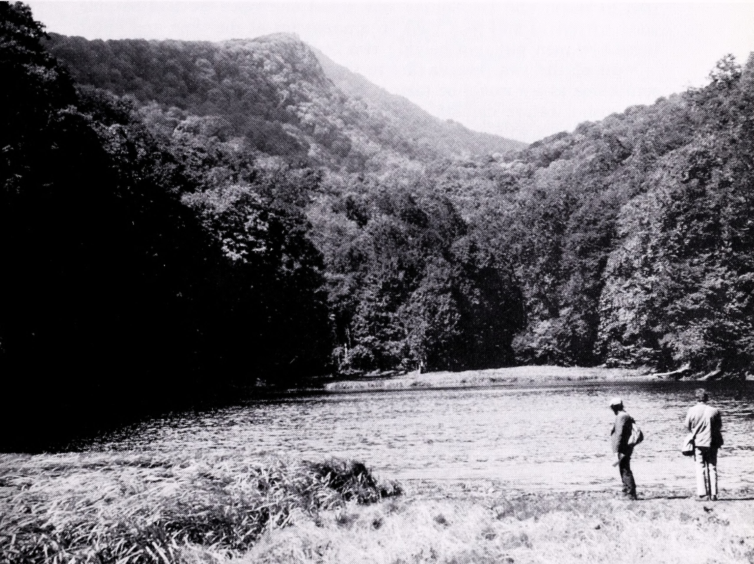 Black-and-white photograph of two botanists standing in open forest clearing