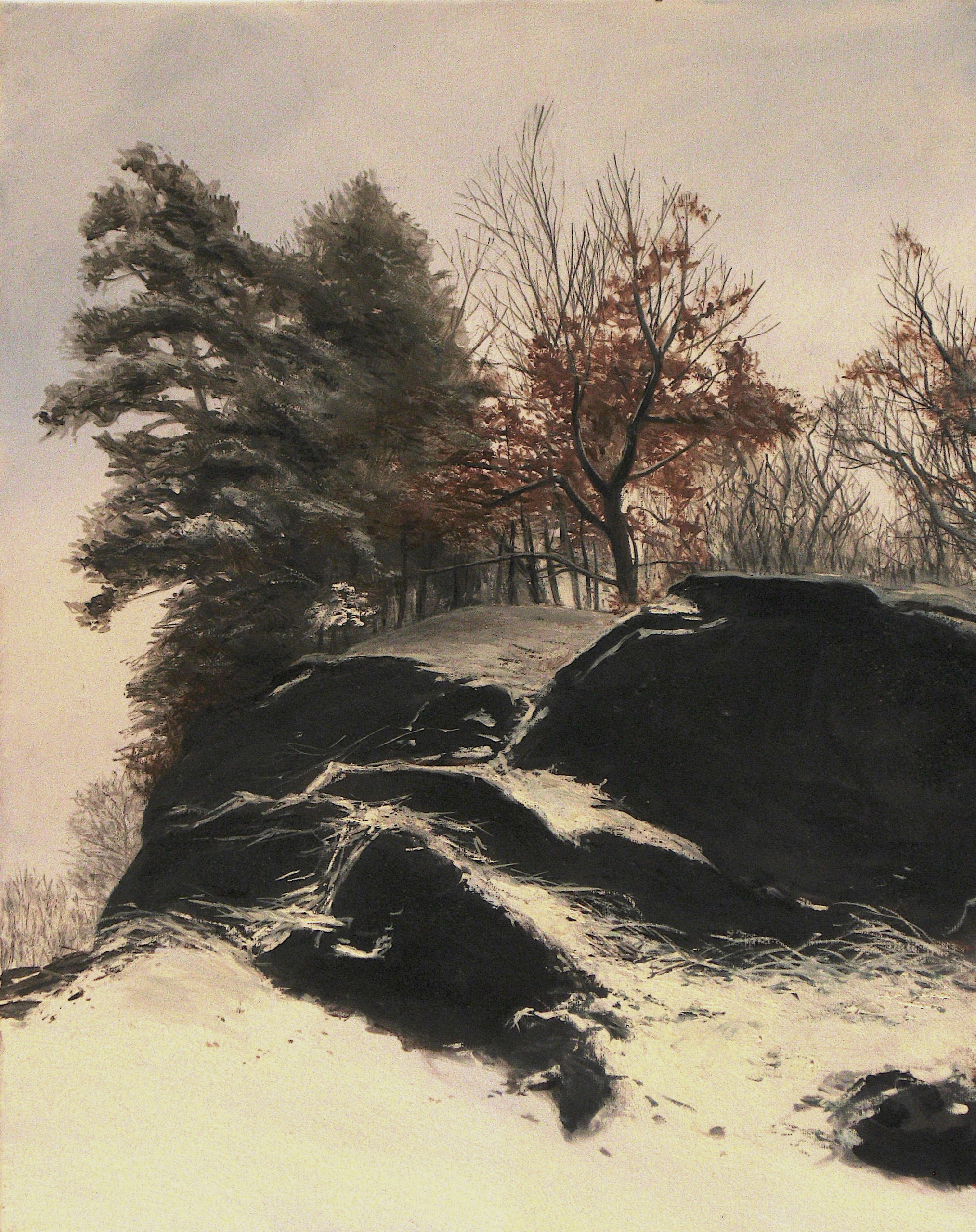 Trees above a rocky outcrop in winter