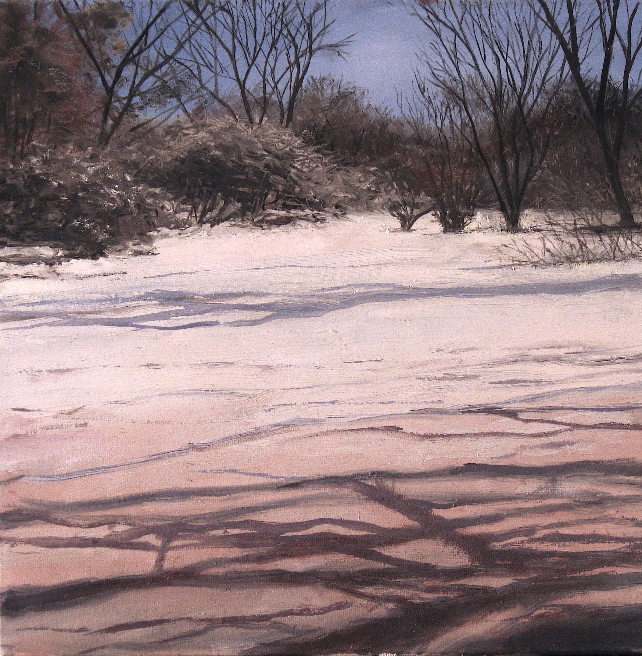 WInter trees and shrubs in a border on a snow covered field