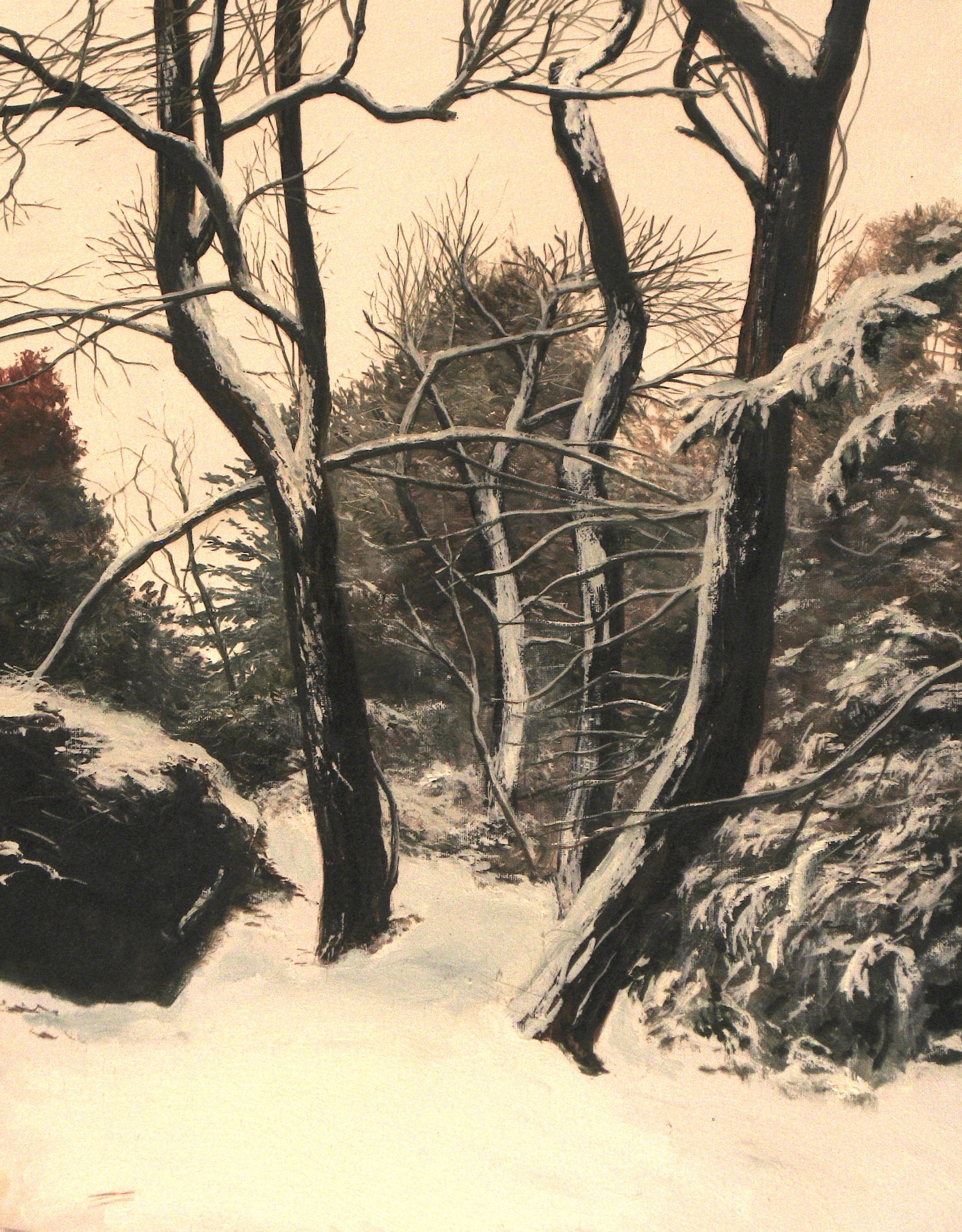 Bare trees and rocks in winter