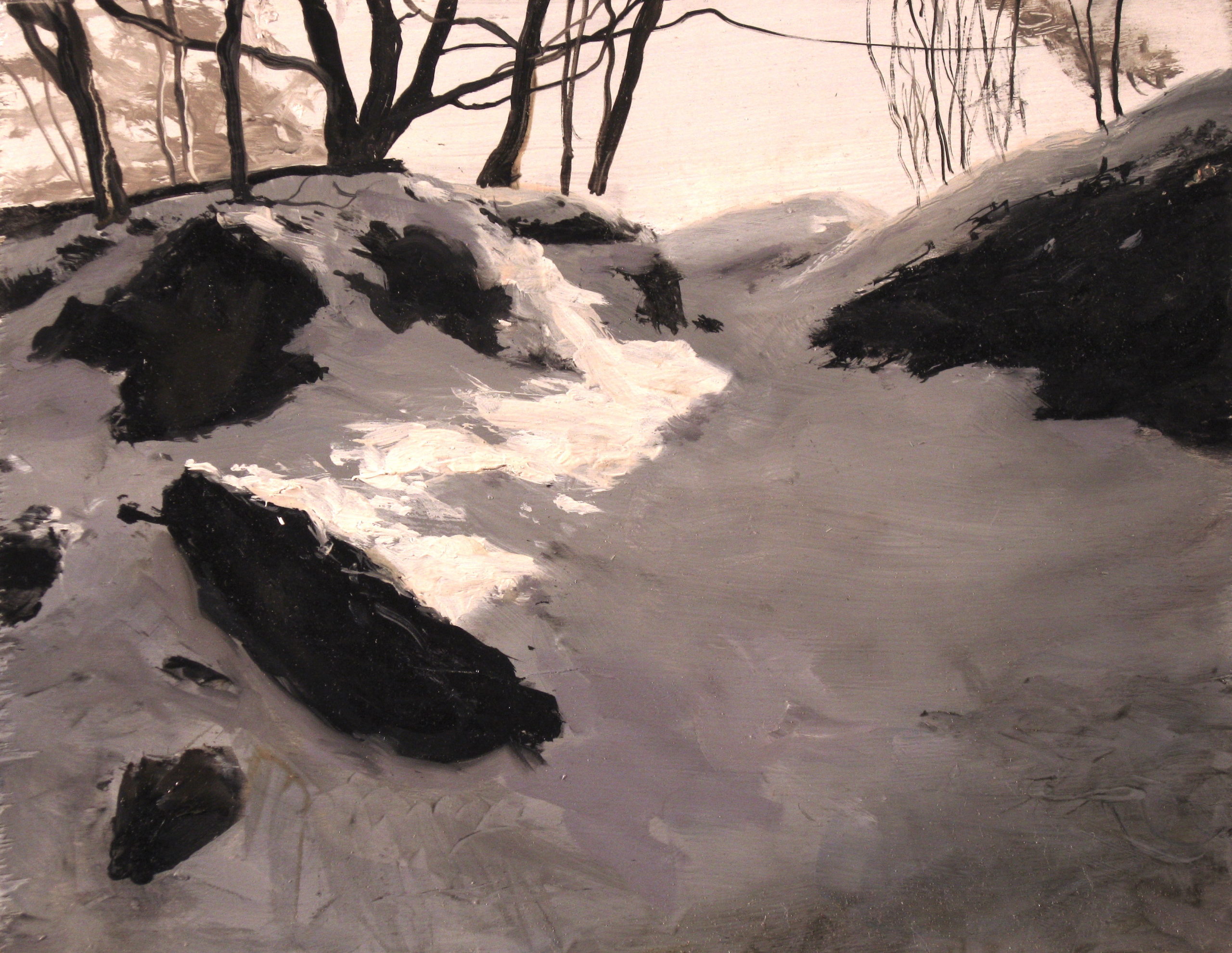 Rocks and the bottom of trees in snow