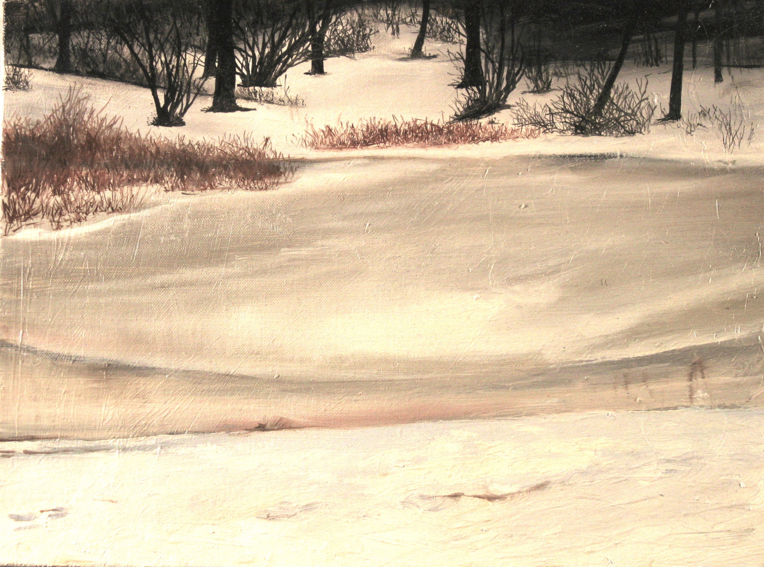 Pond covered by snow with background of trees