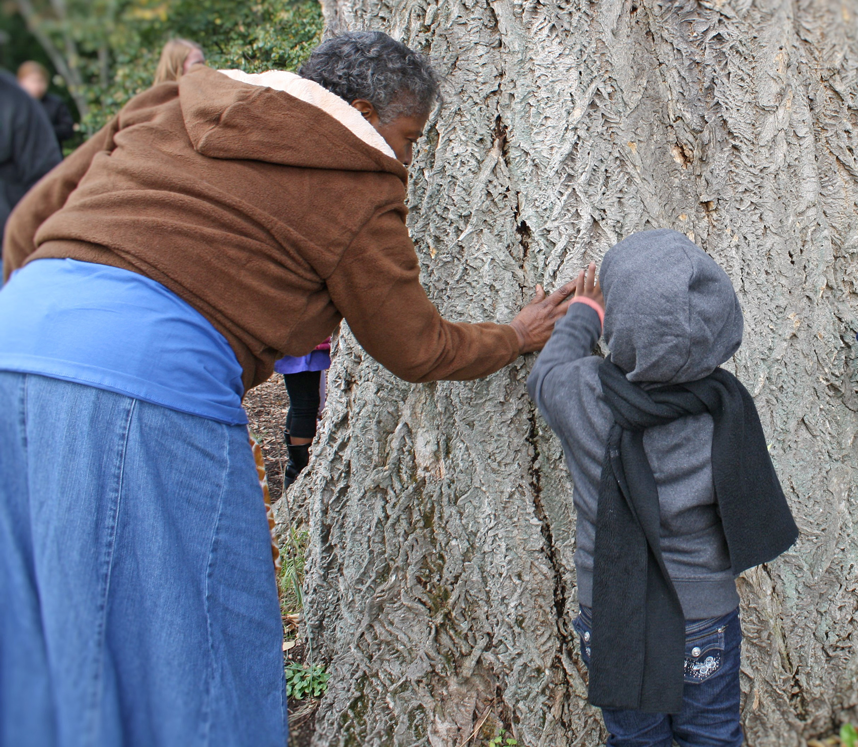 Everyday Nature Tasks for outdoor nature learning