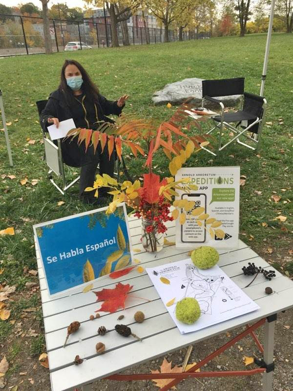 Table with plant display, somwan seated behind.