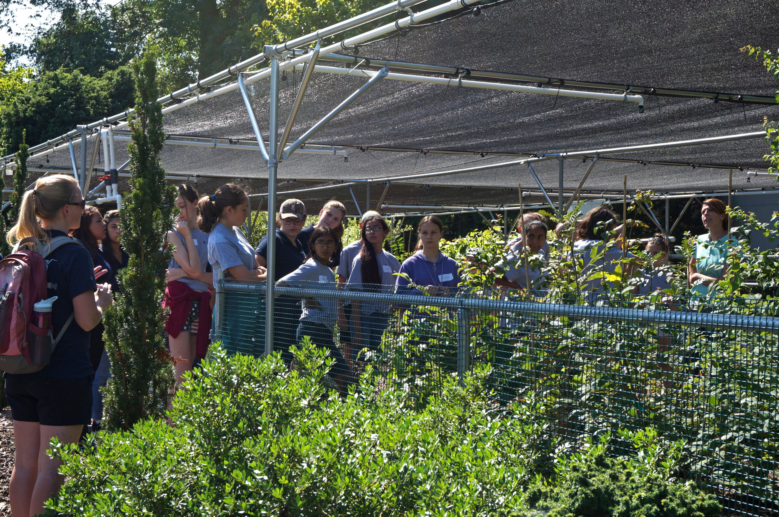 Visiting a nursery and learning about plant care with Tiffany Enzenbacher, Manager of Plant Production